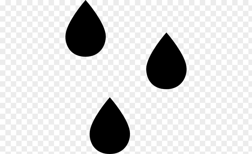Raindrops Rain Drop PNG