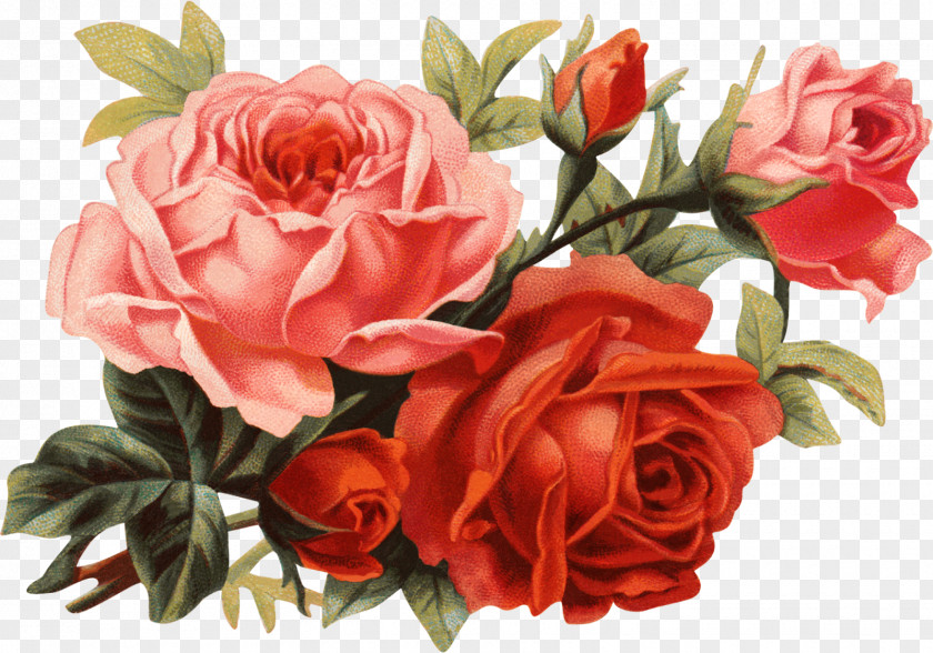 Rose Flower Bouquet Clip Art PNG