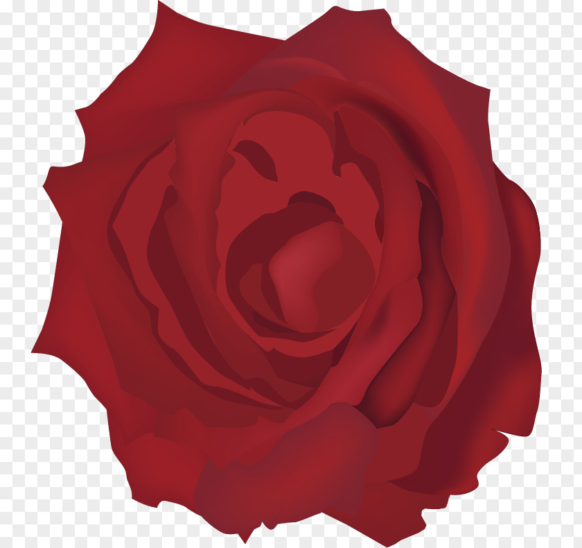 Vector Hand-painted Roses Garden Beach Rose Euclidean Red PNG