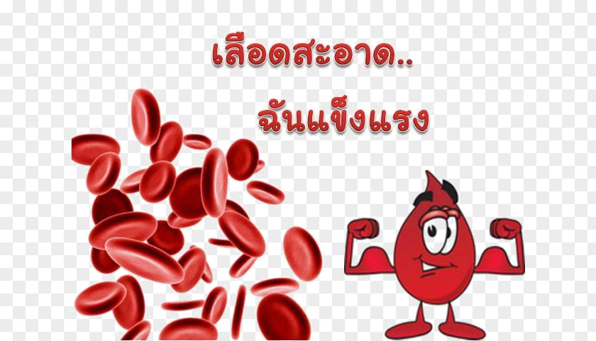 Blood Red Cell White Hematologic Disease PNG