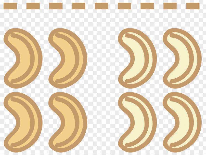 Cashew Tree Number Pattern Line Animated Cartoon PNG