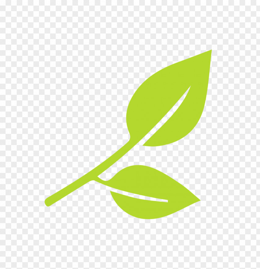 Green Leaves Potted Buckle Season Clip Art PNG