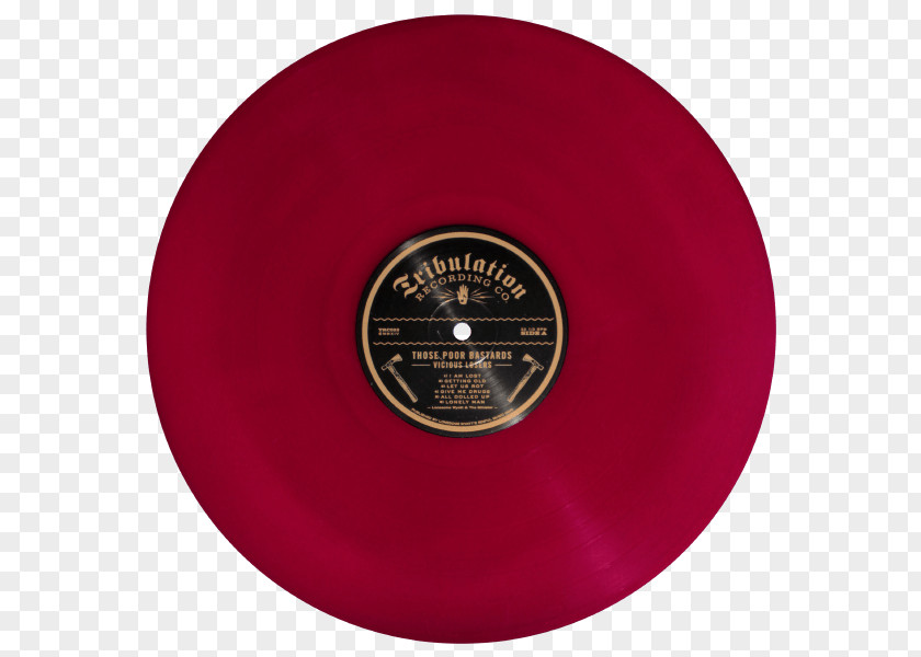 Lost Bastards Phonograph Record LP PNG