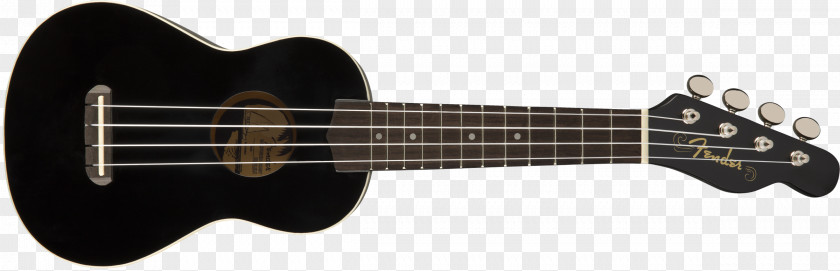 Musical Instruments Ukulele Seven-string Guitar Amplifier Fender Stratocaster Corporation PNG