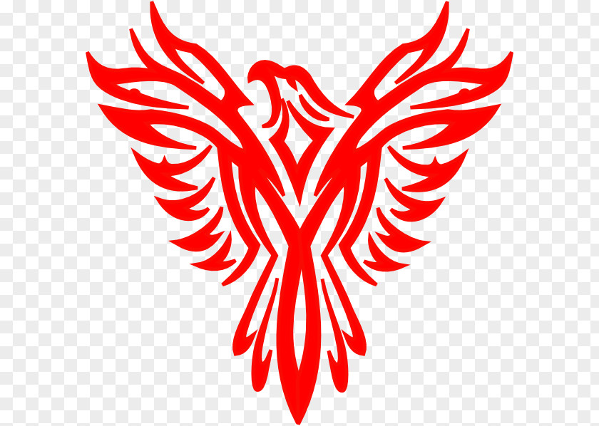 Phoenix T-shirt Clip Art PNG