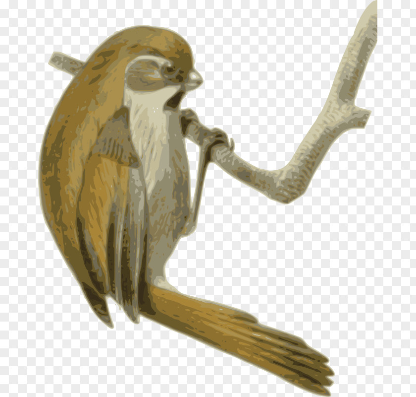 Pipeline Clipart Golden Parrotbill Songbird Neognathae Clip Art PNG