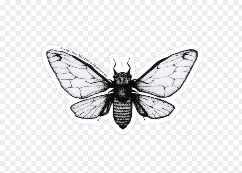 Butterfly Sticker Decal Cicadoidea Fly Fishing PNG