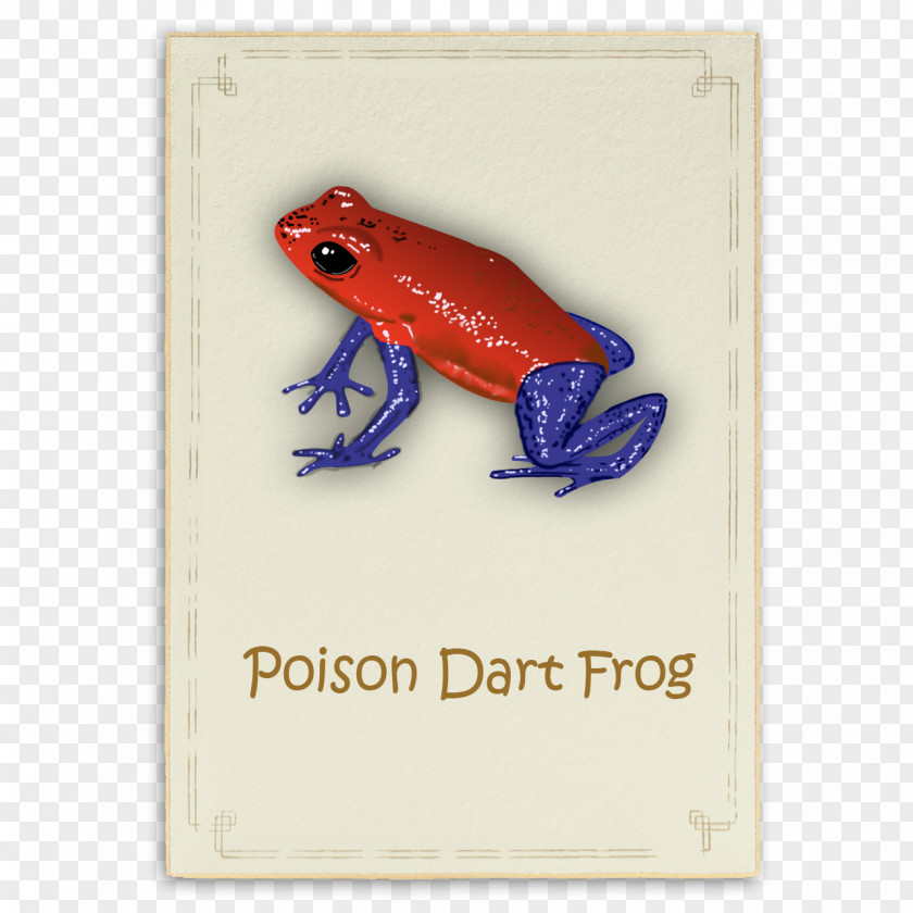 Frog Tree Rectangle Font PNG