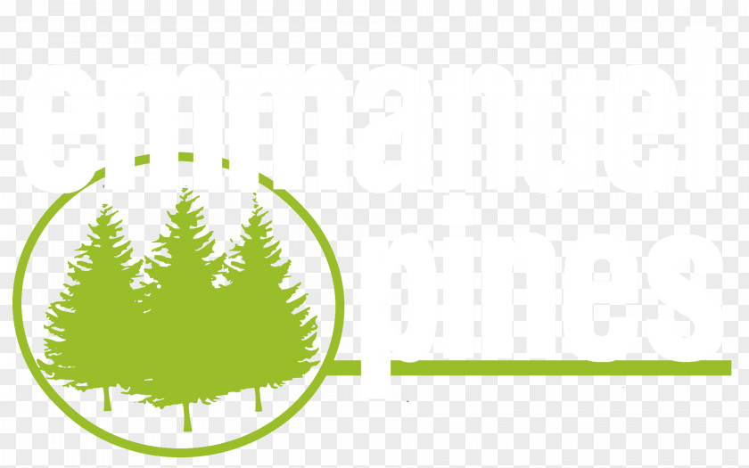 Pine Needle T-shirt Shiloh Christian Fellowship Forest Trail 332 Emmanuel Pines Camp & Conference Center Logo PNG
