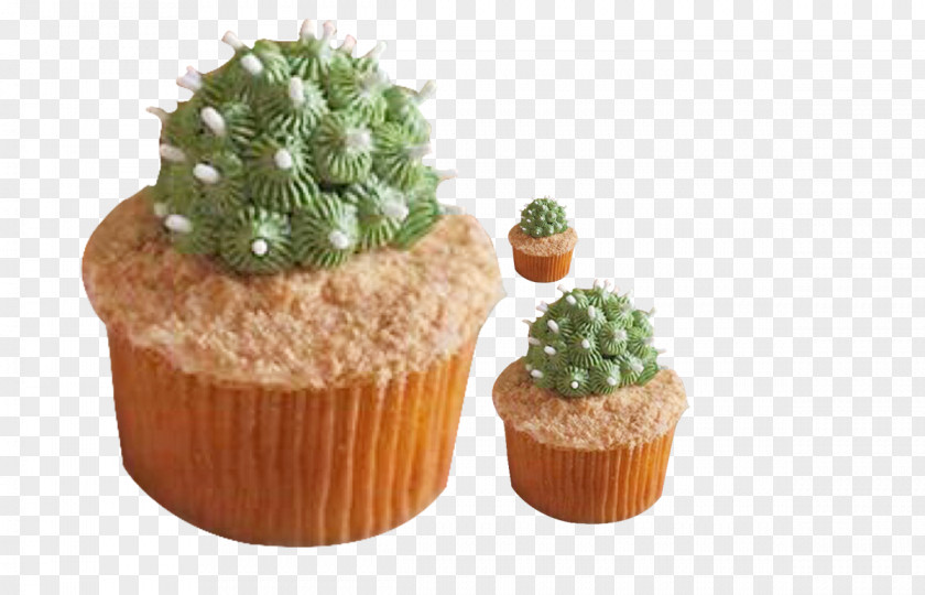 Cactus Dessert Ice Cream Cupcake Taco Muffin PNG