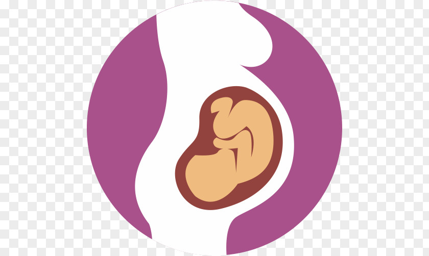 Fetus Alcohol And Pregnancy Infant Childbirth PNG