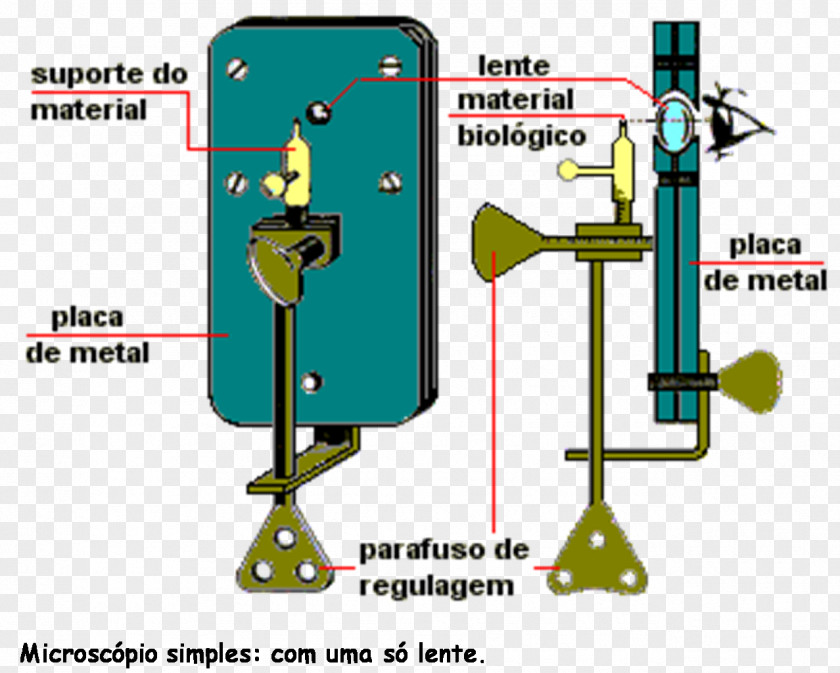 Microscope Optical Microscopio Simple Cell Discovery PNG