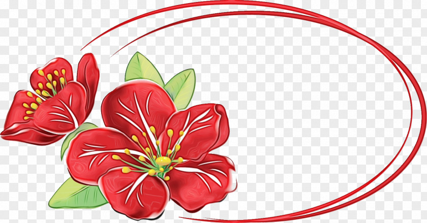 Red Flower Plant Anthurium Petal PNG