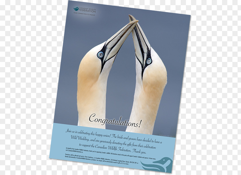 Wedding Poster Canadian Wildlife Federation K2M 2W1 Donation Gift PNG