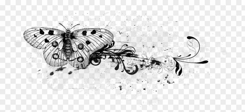 Butterfly Line Art Drawing PNG