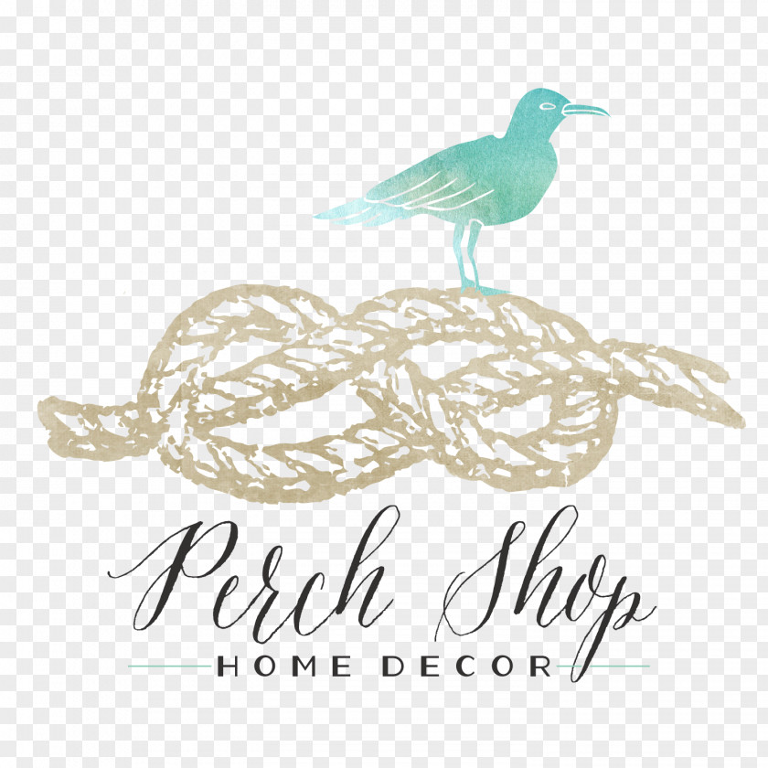 Perch Etsy Instagram Beak Privacy Policy Pinterest PNG