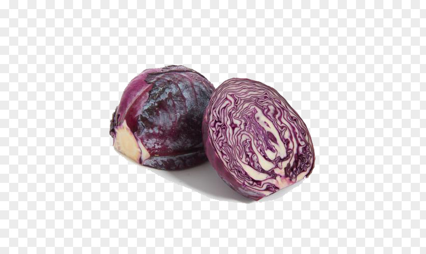 Vegetables Purple Cabbage Red Vegetable Violet PNG