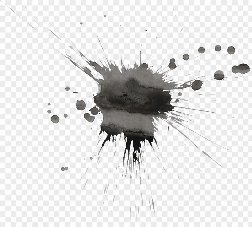 Watercolor Brush Painting Art Black And White PNG
