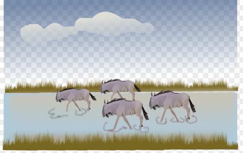 Horse Wildebeest Clip Art Illustration Vector Graphics PNG