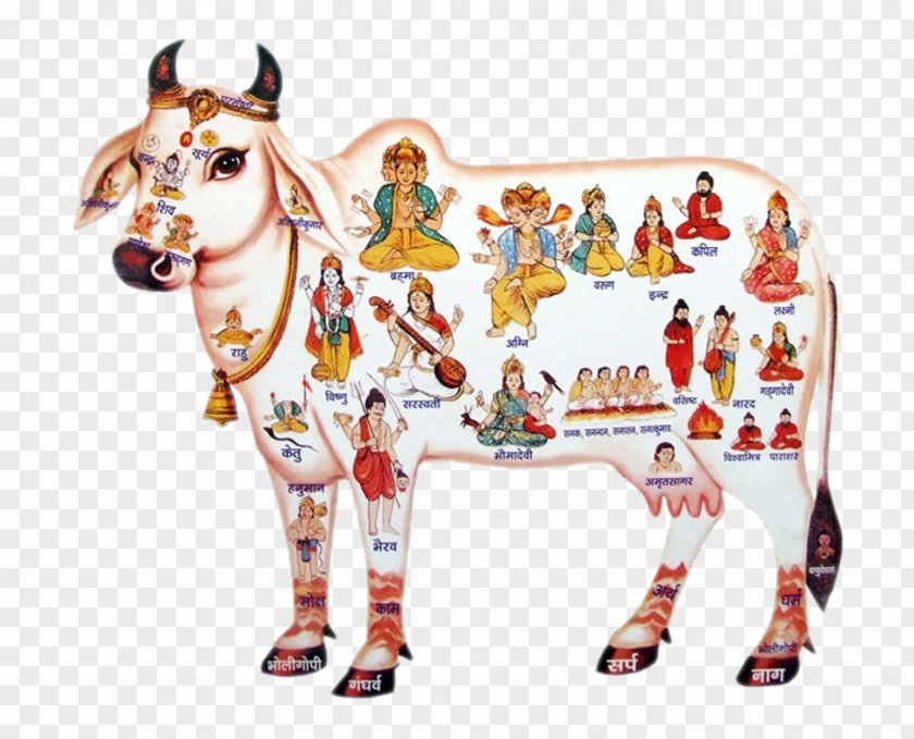 Livestock Amusement Park India Hinduism PNG