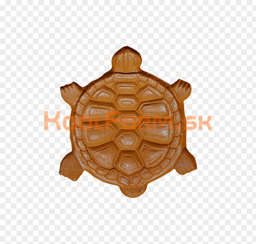 Turtle Tortoise Testudo Formation Postage Stamps Paper Embossing PNG