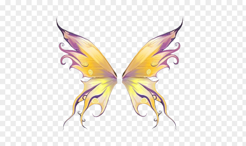Butterfly Elements Drawing PNG