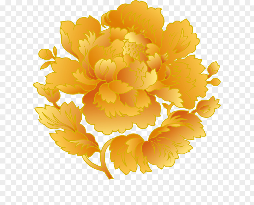 Chrysanthemum Moutan Peony PNG