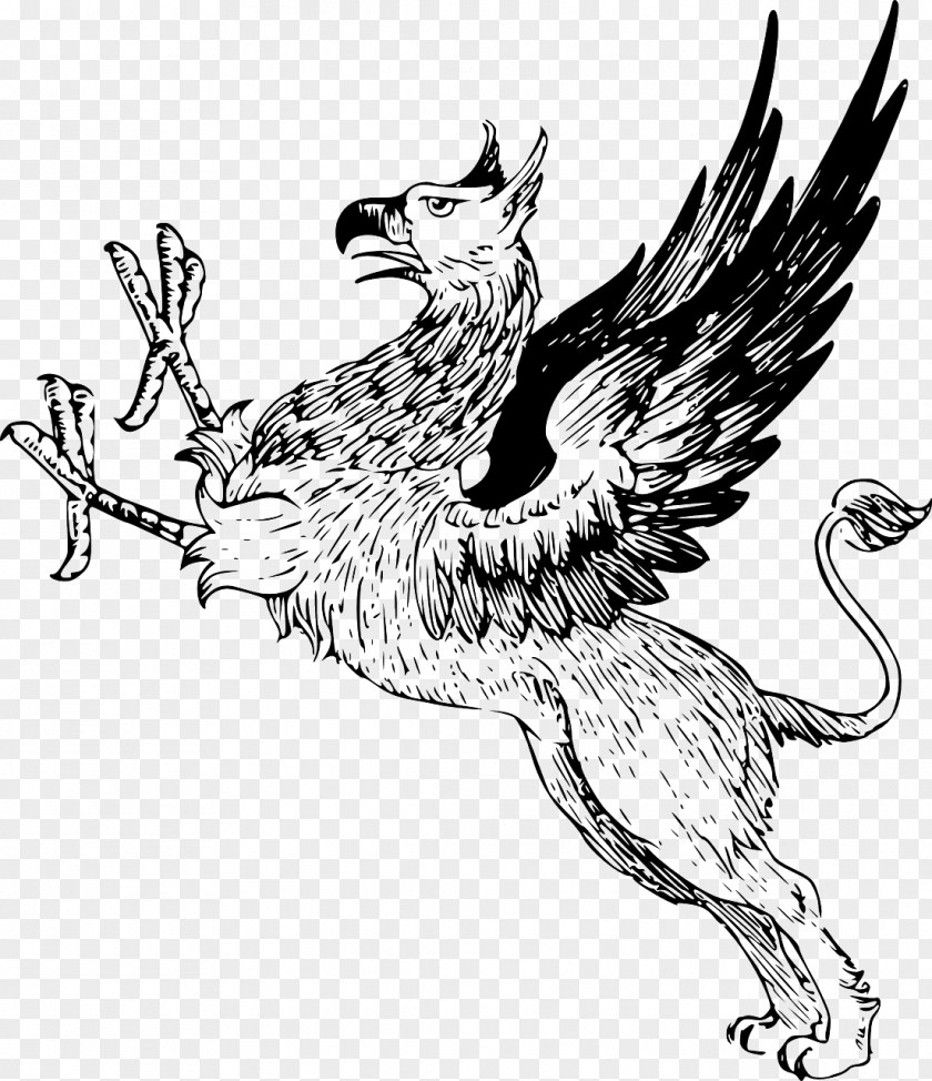 Griffin Line Art Clip PNG