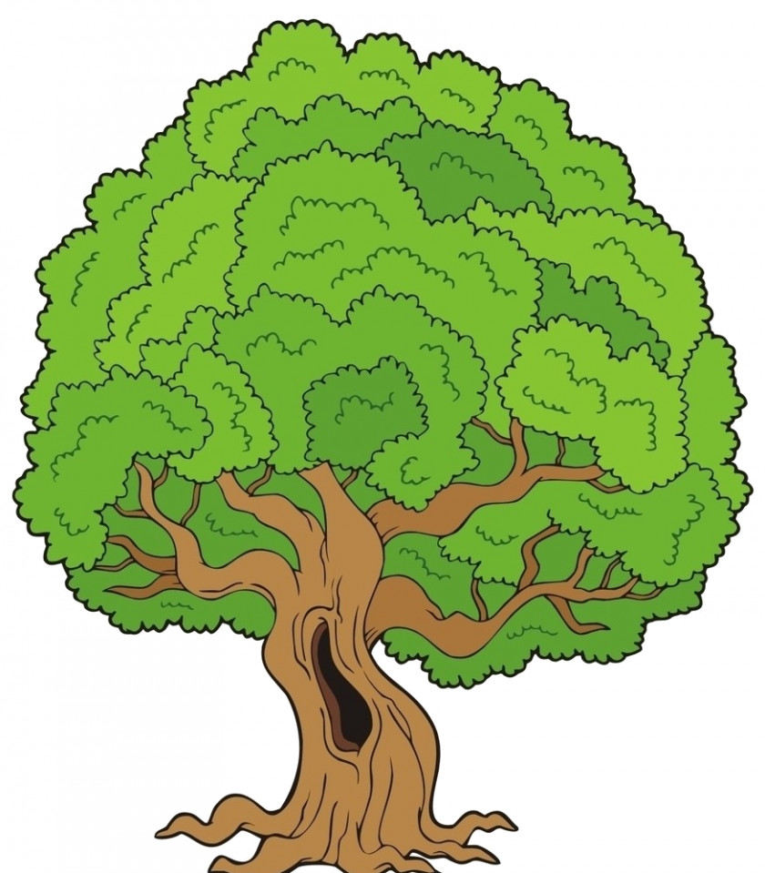 Tree Drawing Cartoon Clip Art PNG