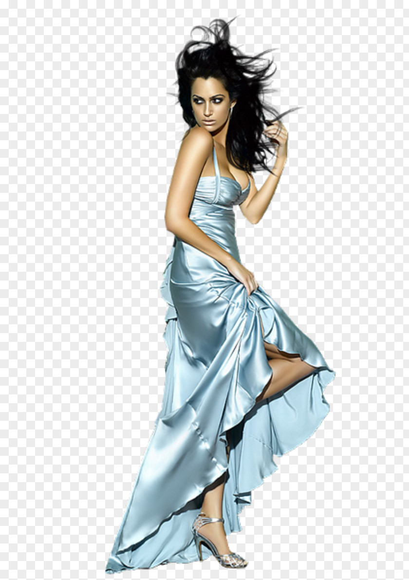 Woman Evening Gown Dress PNG