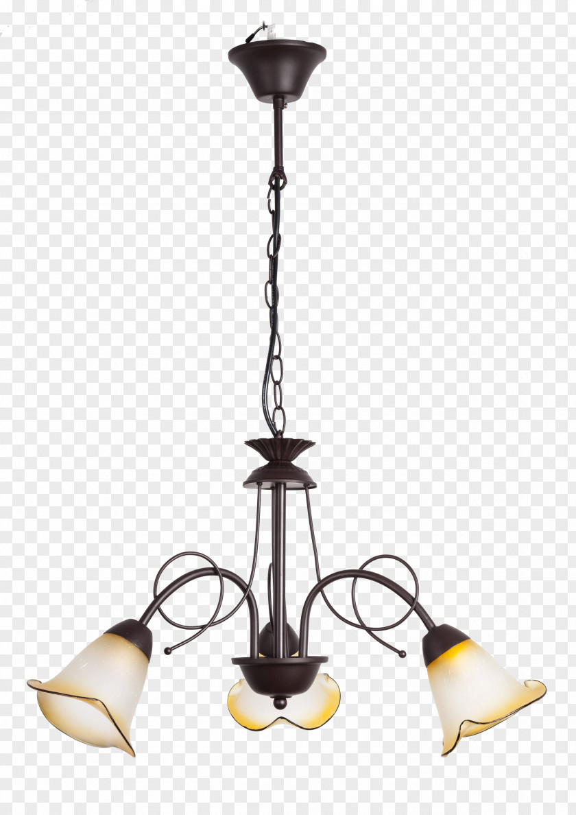 Light Fixture Chandelier Lighting LED Lamp PNG