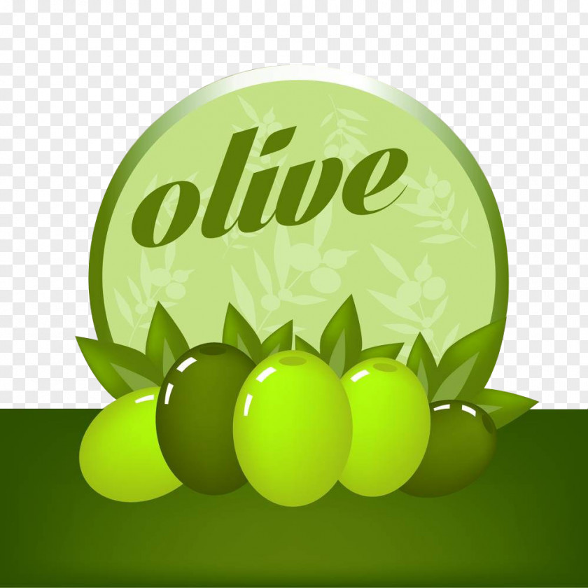 Olive Download Drawing Photography Illustration PNG