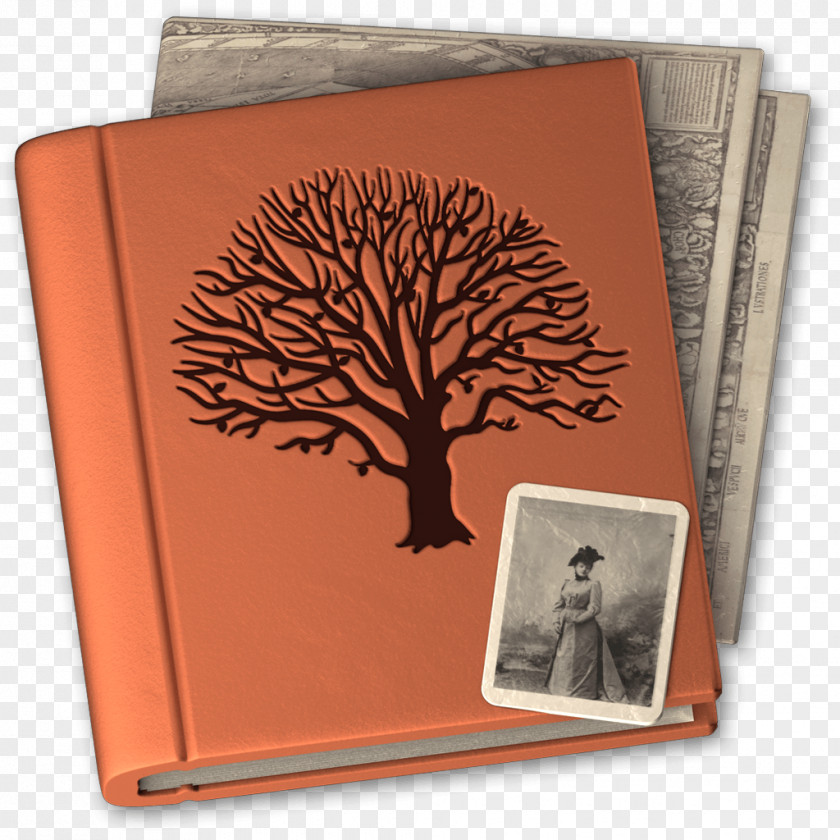 Family MacFamilyTree Tree Genealogy MacOS PNG
