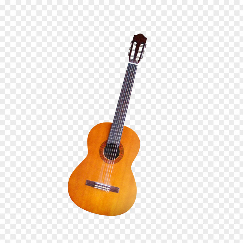 Guitar Performance Musical Instrument PNG