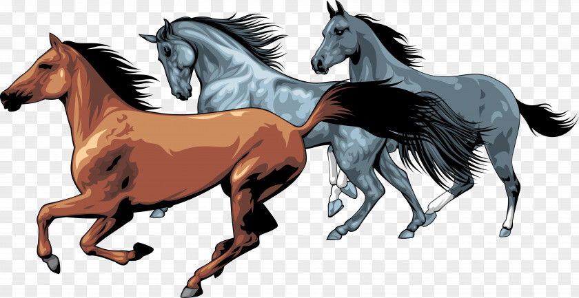 Horse American Paint Equestrian Clip Art PNG