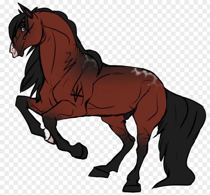 Mustang Pony Stallion Rein Mane PNG
