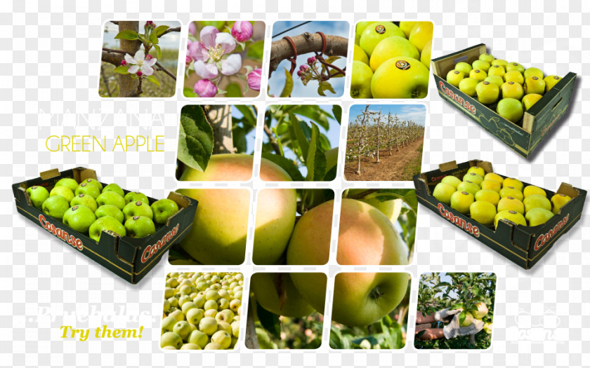 Apple Vegetarian Cuisine Fruit Food Cosanse PNG