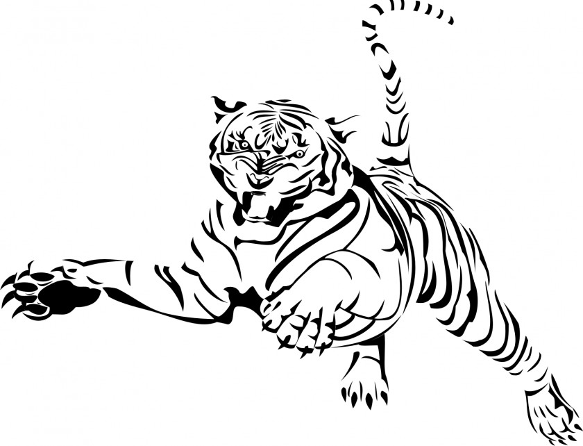 Lion Bengal Tiger Felidae Coloring Book PNG