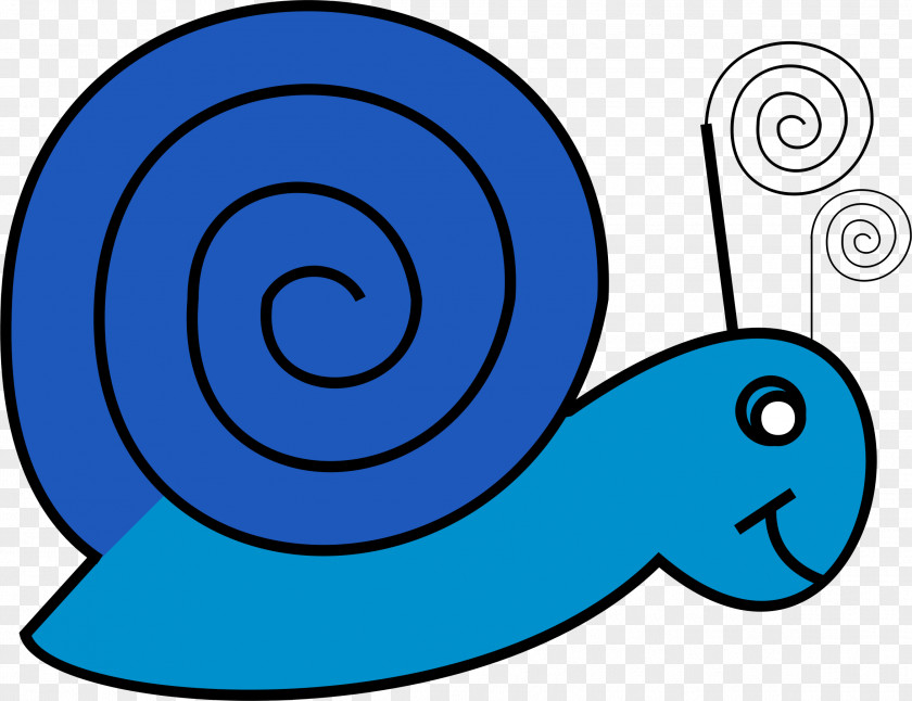 Snails Drawing Clip Art PNG