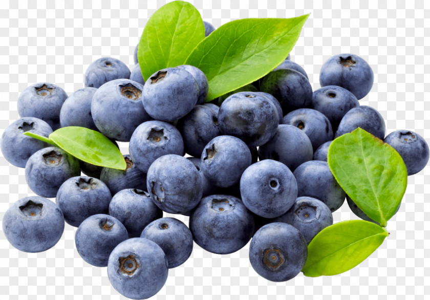 Blueberry Organic Food Bilberry PNG