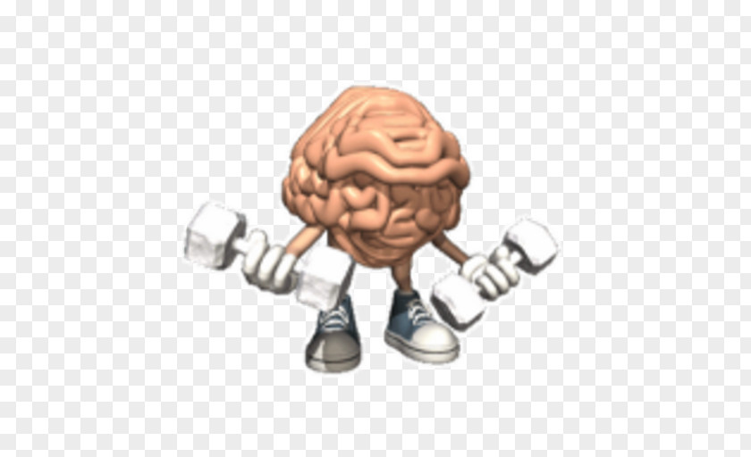 Brain GIF Animated Film Cognitive Training Image PNG