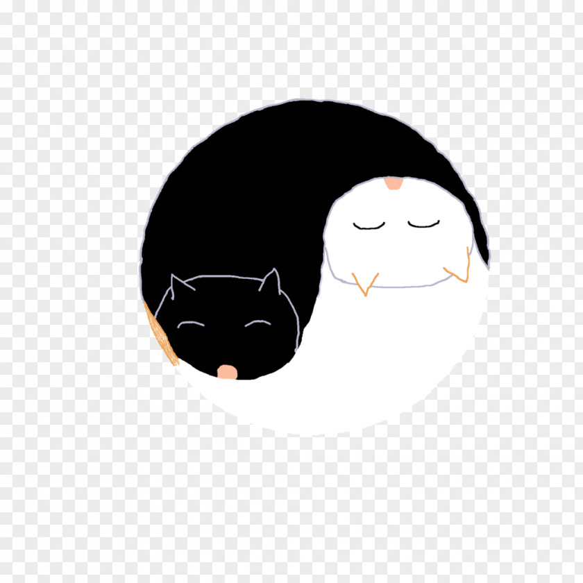 Cat Whiskers Penguin Desktop Wallpaper PNG