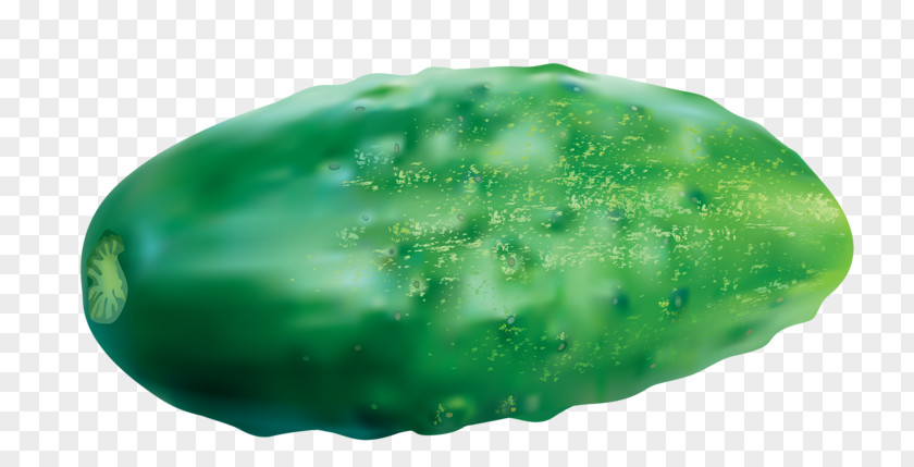 Green Cucumber Pickled Melon PNG