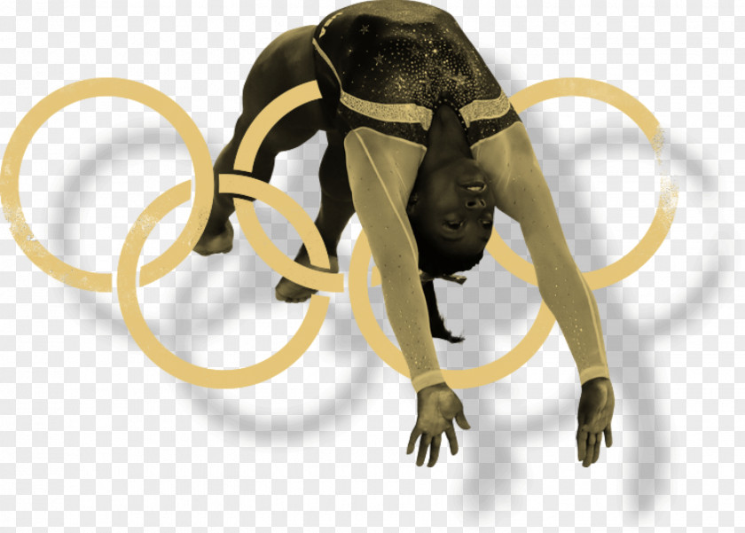 Gymnastics World Artistic Championships Olympic Games Rio 2016 De Janeiro PNG