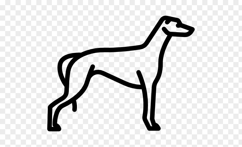Italian Greyhound PNG