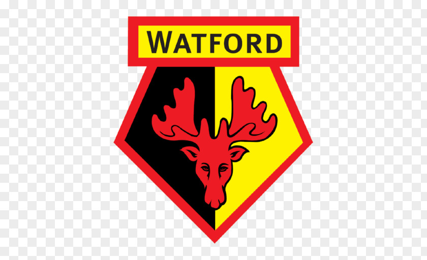 Premier League Watford F.C. Leicester City English Football PNG