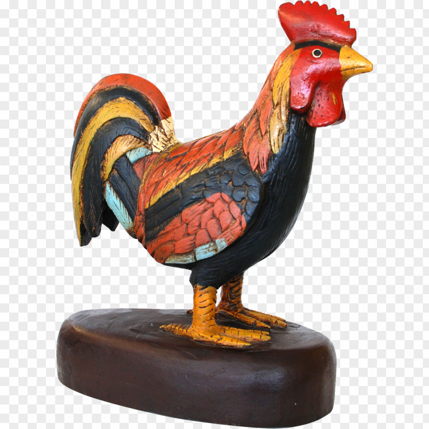 Rooster Chicken Bird Phasianidae Fowl PNG