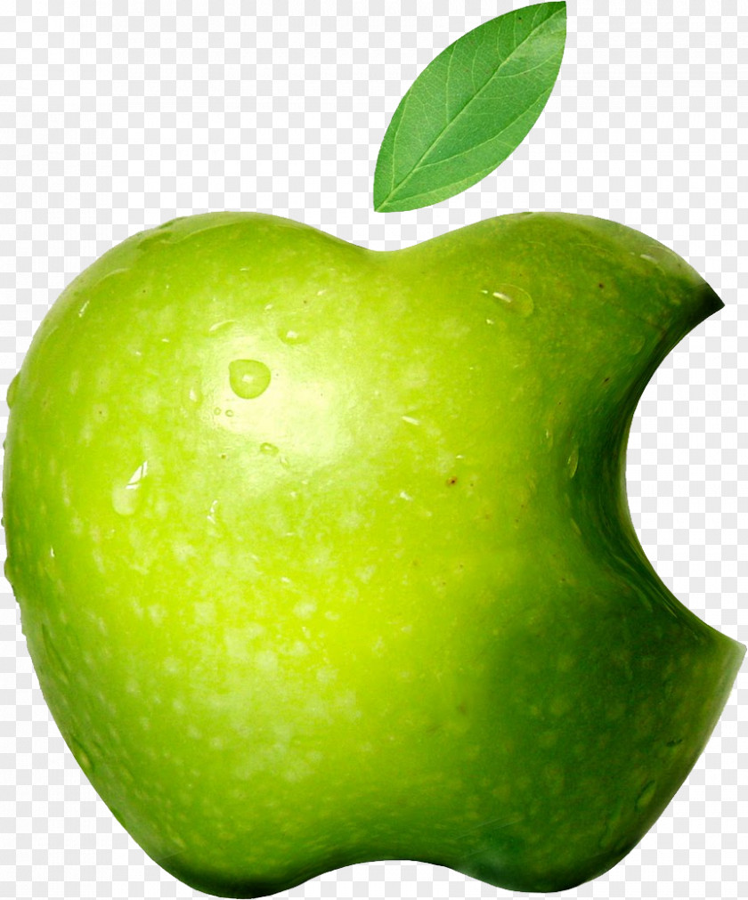 Apple Logo New York City Cider The APPLE Group, Inc PNG