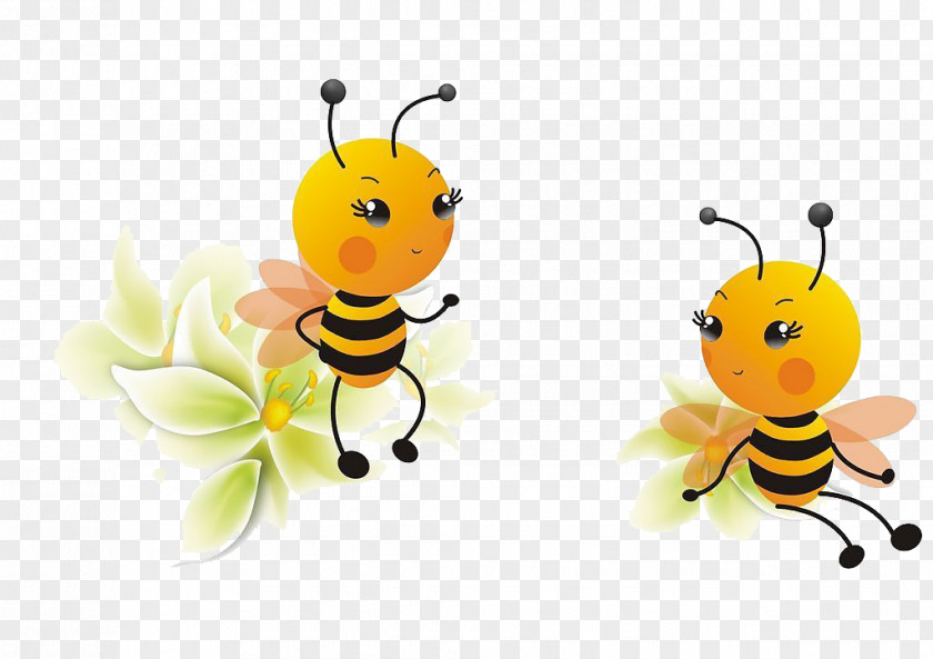 Bee Guizhou Apis Cerana Apidae Beehive PNG