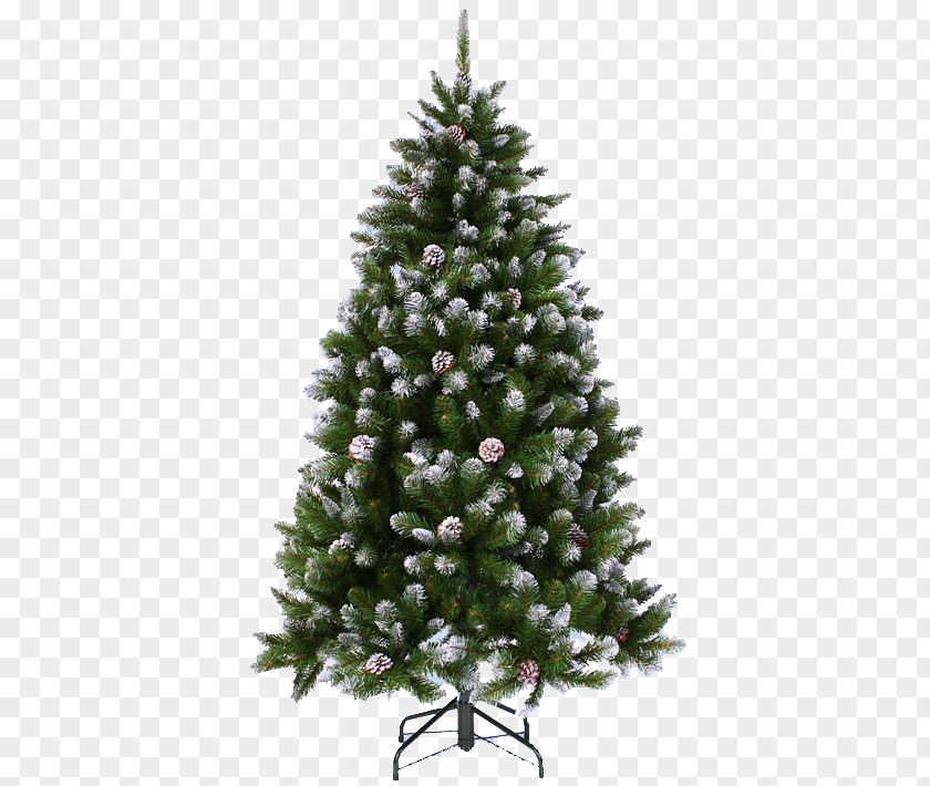 New Year Tree Fir Christmas PNG